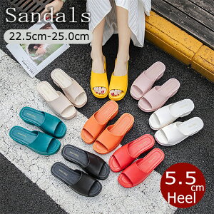  T_ y r fB[X ɂ ₷ TCY 傫TCY  V[Y C ʋ