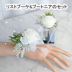 Xgu[P&u[gjÃZbg u[PƓwŔz  u[gjA Xgu[P RT[W VY t[  uC_ p[eB[񎟉 I Be Cxg  u