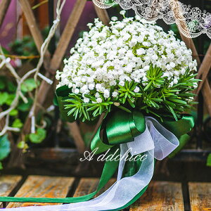 u[P  EGfBOu[P ԉ t[  uC_u[P ԃu[P 񎟉 i ԑ I Be CeA NX}X zCg