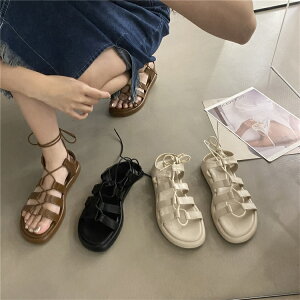 T_ fB[X q[ ؂ 傫TCY C V[Y [q[  ST_ TCY ₷ Xgbv  r[` ɂȂ r rW[ tbg 