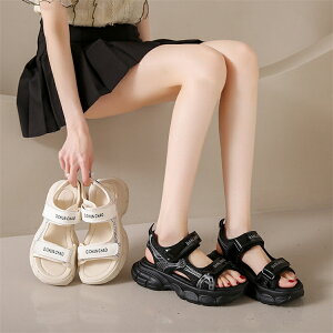 T_ fB[X q[ ؂ 傫TCY C V[Y [q[  ST_ TCY ₷ Xgbv  r[` ɂȂ r rW[ tbg 