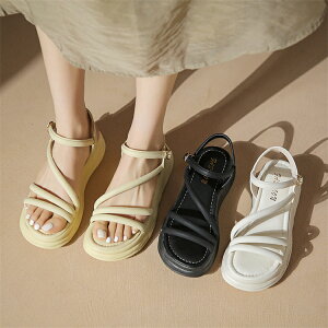 T_ fB[X q[ ؂ 傫TCY C V[Y [q[  ST_ TCY ₷ Xgbv  r[` ɂȂ r rW[ tbg 