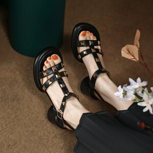 T_ C V[Y r[`T_ r ~ Vv fB[X?₷  킢 wl fB[X  Ȃ ɂȂ 傫TCY TCY y y