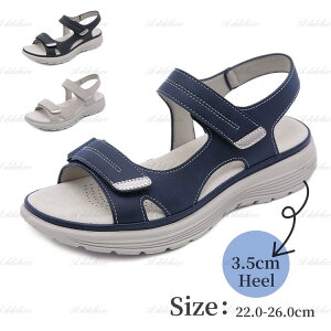 T_ fB[X X|[cT_ Y Xgbv jp L O [q[ r[`T_ t RtH[g T}[T_ n V[Y 3.5cm q[ C ɂ 