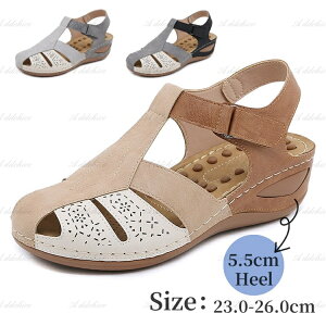 T_ fB[X L O r[`T_ t RtH[g T}[T_ n 5.5cm q[ C ɂ ₷ ɂȂ  r TCY 傫TCY 23.0-26