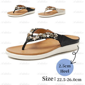 T_ fB[X gOT_ V[Y Y jp L O [q[ r[`T_ t RtH[g T}[T_ 2.5cm q[ C ɂ ₷ 