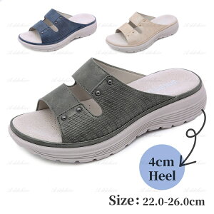 T_ fB[X V[Y Y Xgbv jp L O [q[ r[`T_ t RtH[g T}[T_ n V[Y 4cm q[ C ɂ ₷