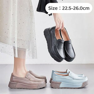 L [t@[ fB[X [t@[ JWAV[Y tbgV[Y IZ[ RtH[gV[Y ZC vC C y ₷ ɂȂ  s 22.5cm 26.0cm