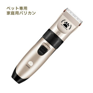 y[zpoJ ybg g~O ybgpoJ Nbp[ EL [d ֗ dNbp[ [d LED[d\ ᑛpybgp Lbg lRLpoJ[d R