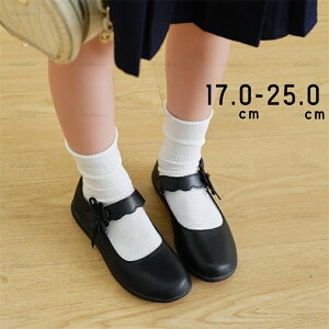 C tH[} ̎q sAm\ C qC qǂ q w qǂ  w V[Y w V[Y XgbvC lC  w ʐ \ LbY  ʊw  17-25cm u