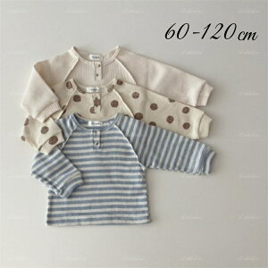 xr[  TVc Ci[gbvX  i  JWA lC xr[ LbY t  H ~ I[V[Y j̎q ̎q {[CY K[Y Ԃ V v`v ؍ Aq