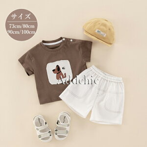 xr[ ㉺Zbg ZbgAbv j̎q  pc  t  q V Ԃ ʋC  v[g Mtg oYj 1 2 73cm 80cm 90cm 100cm