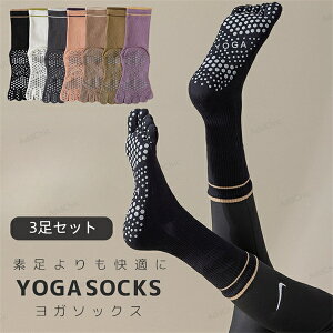 3Zbg 5{wC3Zbg \bNX X|[c\bNX St C Y X|[c 5{w ܖ{w \bNX jp Ƌ Lk J Yh~ ~ ނ݉  