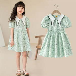 q s[X LbY \  q ̎q t  ԕ  O[ tH[}hX ؍ JWA K[Y vZX ʊw ʉ  񎟉 t w  