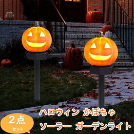 ハロウィン ガーデンライト ソーラー ソーラーライト 2点セット 地中埋込型 ガーデニング カボチャ かぼちゃ LED 屋外 防水 太陽光発電 常夜灯 光センサー 夜間自動点灯 LEDライト 飾り 防水 ハロウィン電飾 パーディー 装飾 照明 ハロウィン用 お化け屋敷 お庭 雰囲気作り