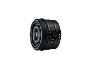 SONY FE 24mm F2.8 G SEL24F28G �P�œ_�����Y E�}�E���g �\�j�[