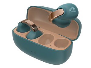 Victor �C���[�J�t�^ ���C�����X�C���z�� HA-NP1T-A �e�B�[���u���[ ���A�N�Z �r�N�^�[