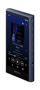 SONY �E�H�[�N�}�� A3000�V���[�Y 64GB NW-A307 (L) �u���[ �X�g���[�~���O WALKMAN �\�j�[