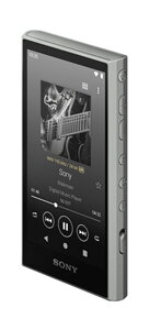 �E�H�[�N�}�� A3000�V���[�Y 64GB �O���[ NW-A307/H