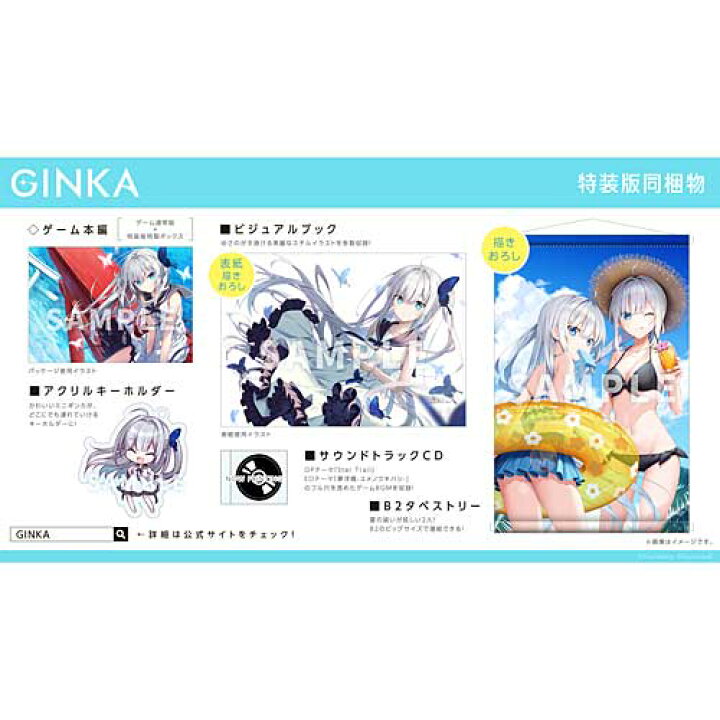 楽天市場】[ニンテンドースイッチ ソフト] GINKA （ギンカ） 特装版 