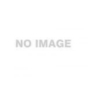 Dyson V12 Detect Slim Absolute SV46 ABL R[hXN[i[ TCN|@ SV46ABL _C\