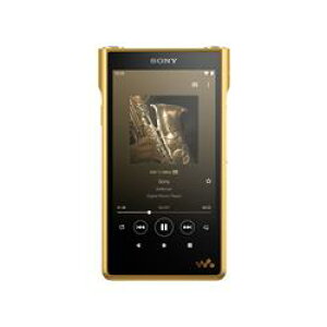 SONY EH[N}WM1V[Y [[^Cv] NW-WM1ZM2 256GB \j[