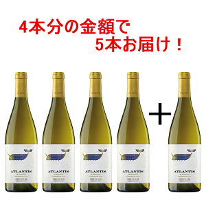 AgeBX I_rEX 2023 4{+1{  C h XyC I_rEX `R oXN ƈ fC[ 750ml Zbg CZbg ZbgC CZbg XyC