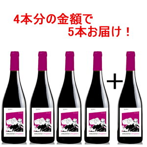 ASXg eBg 2021 4{+1{Zbg  ԃC ~fBA{fB XyC oVA ƈ fC[ 750ml C Mtg v[g a j   D C