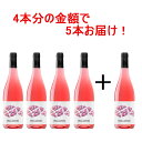 アロア ラロサ 2023 4本+1本セット ロゼ ロゼワイン ミディアム 辛口 スペイン テンプラニーリョ ガルナッチャ 家飲み…