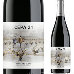 Zp xCeECEEm 2021  ԃC t{fB XyC evj[ xEfEfG 750ml XyCC    CD v[g a 