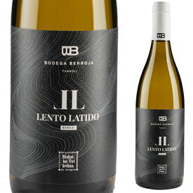 チャコリ レント・ラティード 2019 白 白ワイン 辛口 スペイン チャコリ ビスカイア デイリー 家飲み 750ml 美味しい お酒 宅飲み スペイン産 スペインワイン ワイン わいん ワイン好き お酒好き おしゃれ 贈り物