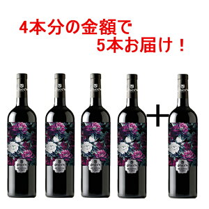 sIj[ Zo 2020 4{+1{Zbg  ԃC t{fB XyC evj[ g  750ml XyCC     CD v[g a 