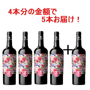 J[l[V u 2021 4{+1{Zbg  ԃC t{fB XyC evj[ g  750ml XyCC     CD v[g a 