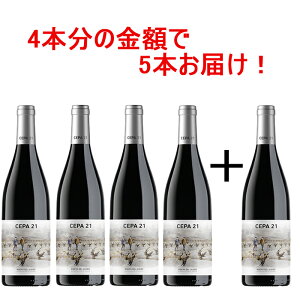 Zp xCeECEEm 2021 4{+1{Zbg  ԃC t{fB XyC evj[ xEfEfG 750ml XyCC     CD v