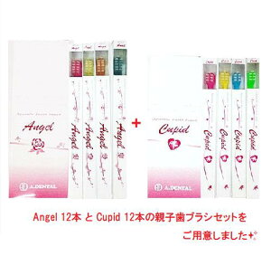 Spatula Series 平穴植毛歯ブラシ【Angel】エンジェル 12本 セット + 【Cupid】キューピット12本セット 歯ブラシ 赤ちゃん用 成人用 まとめ買い 歯ブラシセット 歯ブラシ 普通 ふつう ハブラシ コン