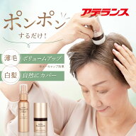 【アデランス 公式】ヘアプラス ビューファンデ パウダー＆ミストセット白髪隠し 薄毛隠し ダークブラウ…