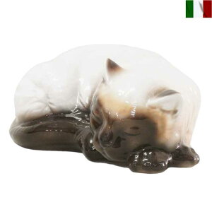 u VL L lR cat  CeA IuWF C^A