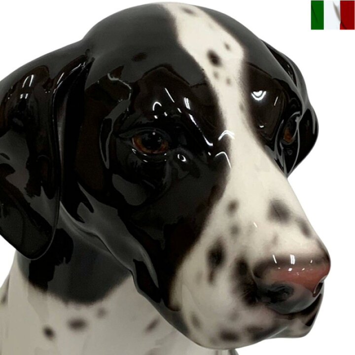 楽天市場】ポインター 置物 犬 陶器 イタリア インテリア オブジェ 