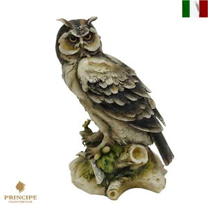 ӂ낤 u tNE owl principe vVy CeA AeB[N eCXg 