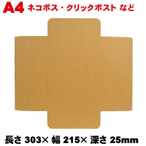 bR^ A4H21 300Zbg / _{[ [փTCY 303×215×[25mm ykCEEzsEsz