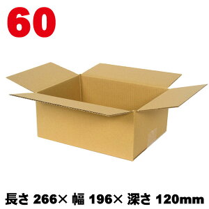 60TCY A-M-60 20,60,160 / _{[ 266×196×[120mm ykCEE zsAsz