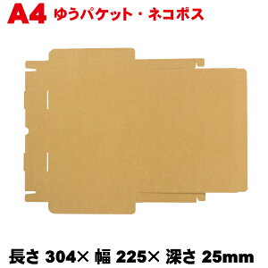 N N-A4H21 300Zbg / _{[ [փTCY 304×225×[25mm ykCEEzsEsz