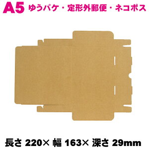 N N-A5H26 250Zbg / _{[ [փTCY 220×163×[29mm ykCEEzsEsz