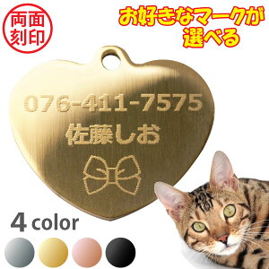 qD XeX n[g MTCY ʍ CXgy2z / Vo[ S[h sNS[h ubN /  L ybg^O l[^O D I[_[Ch yyMt_z^U