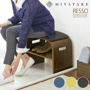 Ȃ،փ`FA RESSOib\j 47×s28×40cm |GXe VRؓ˔\荇 i tFgt O[ u[ uE bcw-500