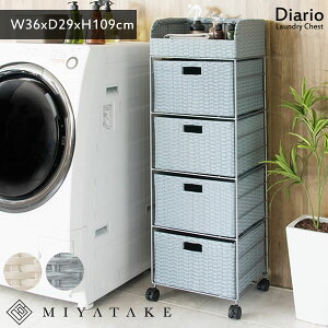 ^h[`FXg DiarioifBAIjh[oXPbg Eߏ[ JS h[{bNX h[bN ʏ  LX^[rb-360