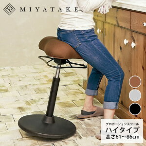 v|[VXc[inC^Cvj 41×s41×61?86cm ubN CgO[ uE ch-800h