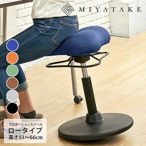 v|[VXc[i[^Cvj 41×s41×51`66cm |GXe E^ X`[  ubN IW XO[ u[ CgO[ uE ch-800l