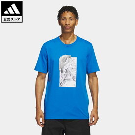 【公式】アディダス adidas 返品可 スケートボーディング ディル コラージュ半袖Tシャツ オリジナルス メンズ ウェア・服 トップス Tシャツ 青 ブルー HS3034 半袖