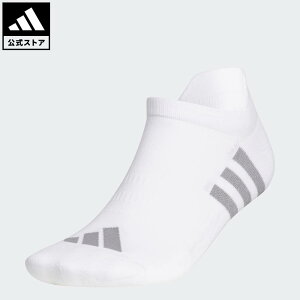 yzAfB_X adidas ԕi St yStzAN cA[ @\\bNX ptH[}X Y ANZT[ \bNXEC  zCg HS5538 Gnot